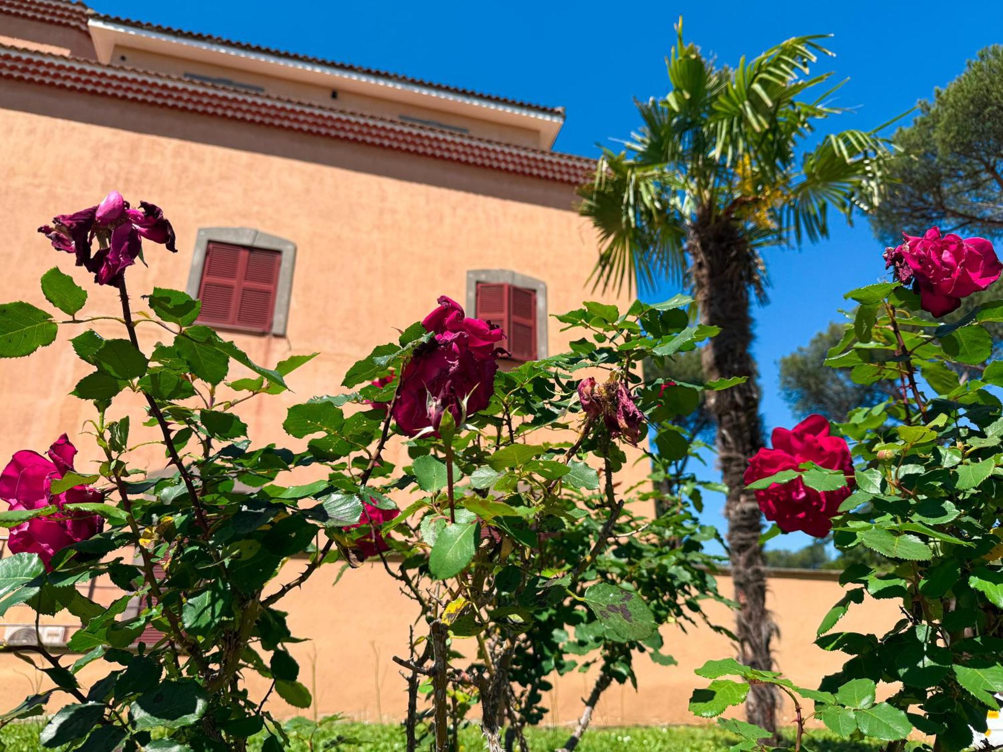 Hotel Due Leoni